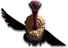 slide-condor.png